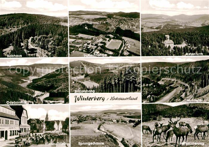 Winterberg Hochsauerland Bobhaus Viehauftrieb Sprungschanze Wildfuetterung Asten