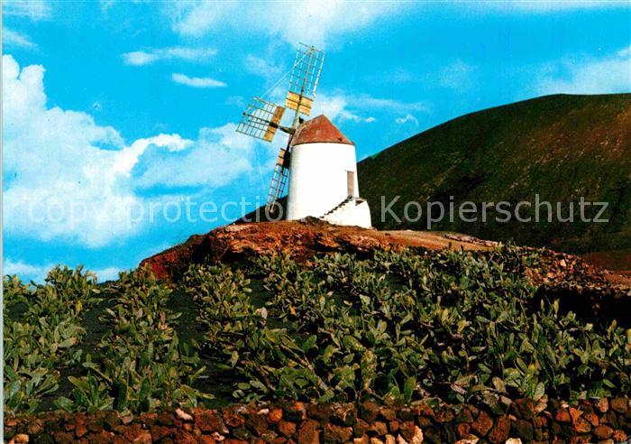 Lanzarote Kanarische Inseln Windmuehle
