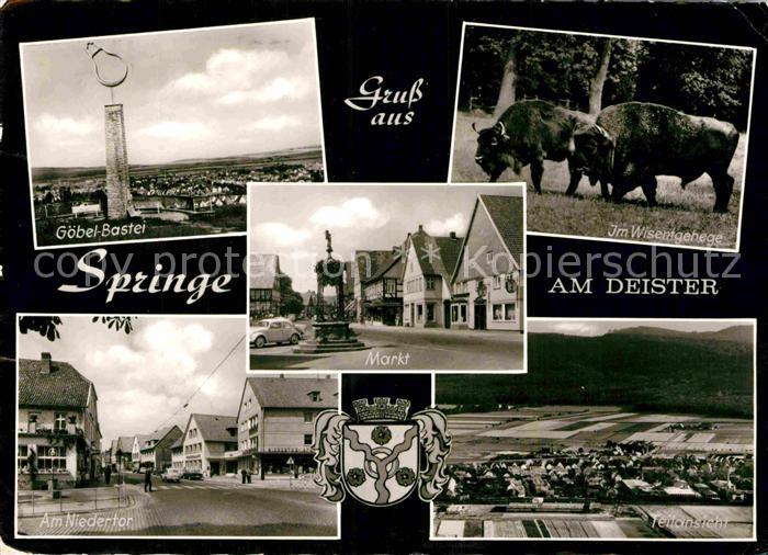 Springe Deister Wisentgehege Goebel Bastei Am Niedertor Markt Panorama