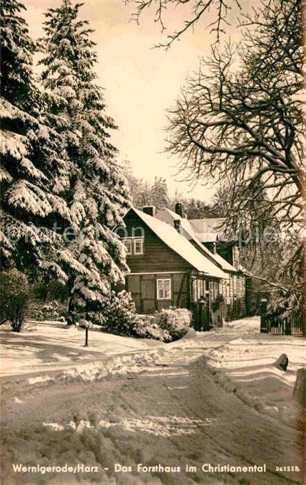 Wernigerode Harz Forsthaus im Christianental Winterlandschaft