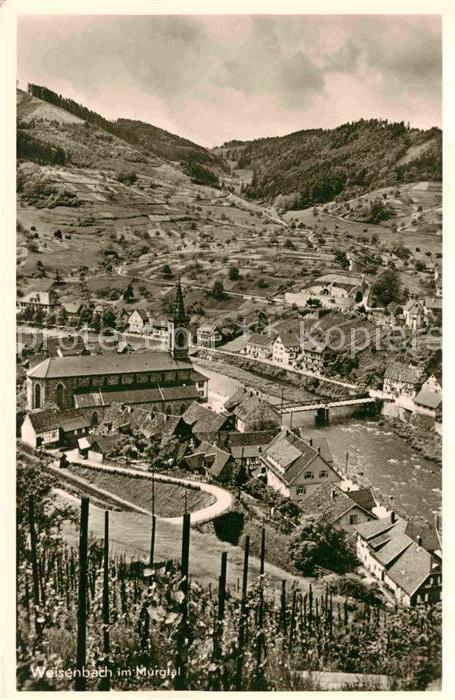 Weisenbach Murgtal Panorama