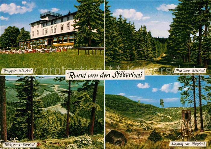 Wieda Berghotel Stoeberhai Wald Hochsitz