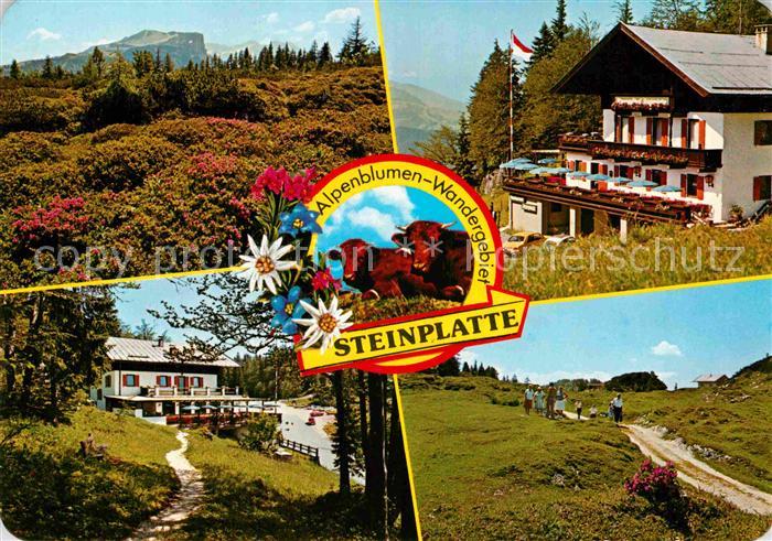Waidring Tirol Alpengasthof Steinplatte Wanderweg Landschaftspanorama