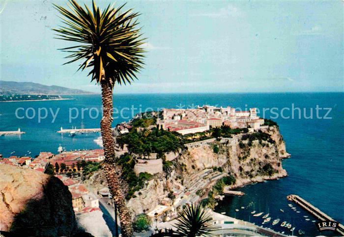 Monaco Le Rocher vu du Jardin Exotique au loin l'Italie Cote d Azur