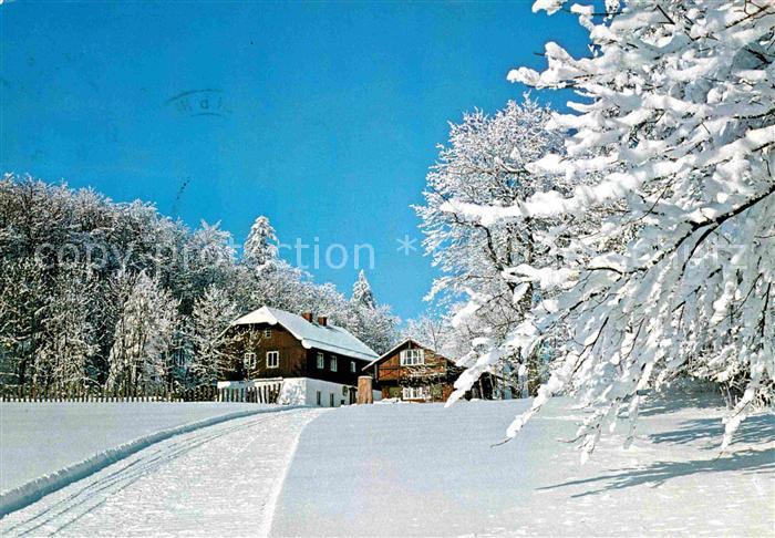 Neukirchen Heilig Blut Ausflugslokal Hoher Bogen Winterpanorama Bayerischer Wald