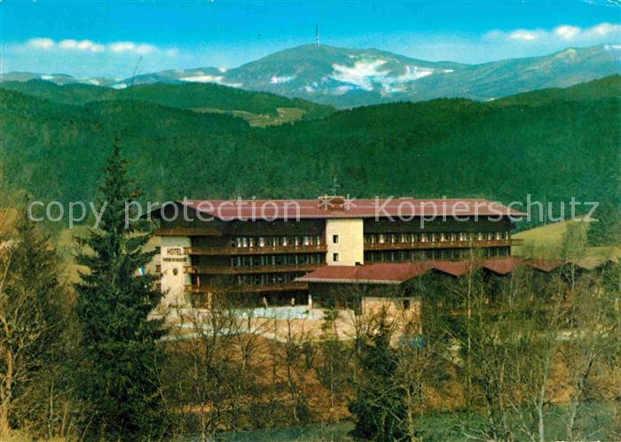 Tittling Ferienhotel Dreiburgensee Deutscher Nationalpark
