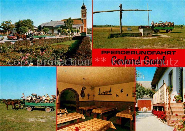 Illmitz Weinstube Pferderundfahrt Ziehbrunnen