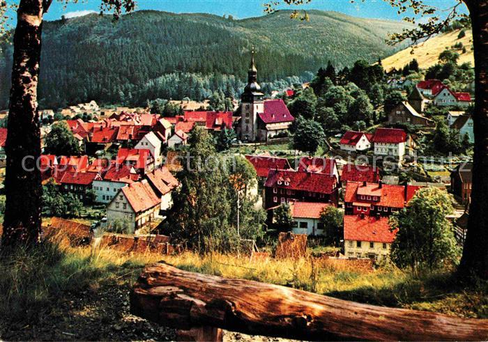 Langelsheim Teilansicht