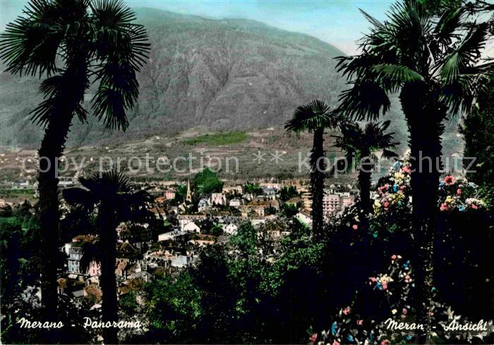Meran Merano Panorama