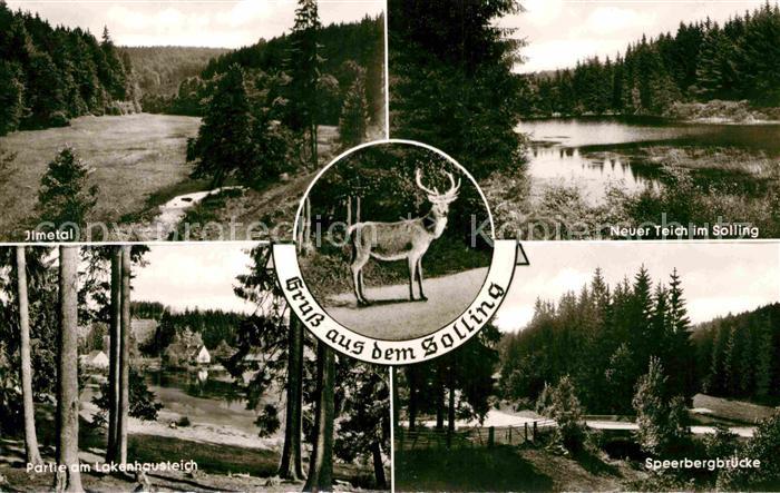 Solling Dorfen Speerbergbruecke Wild Ilmetal Lakenhausteich