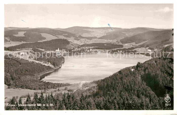Titisee-Neustadt Seepanorama