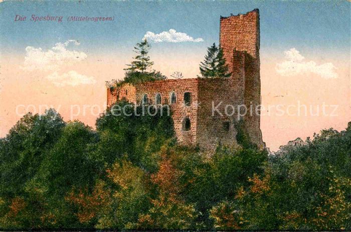 Spesburg Burgruine in den Mittelvogesen