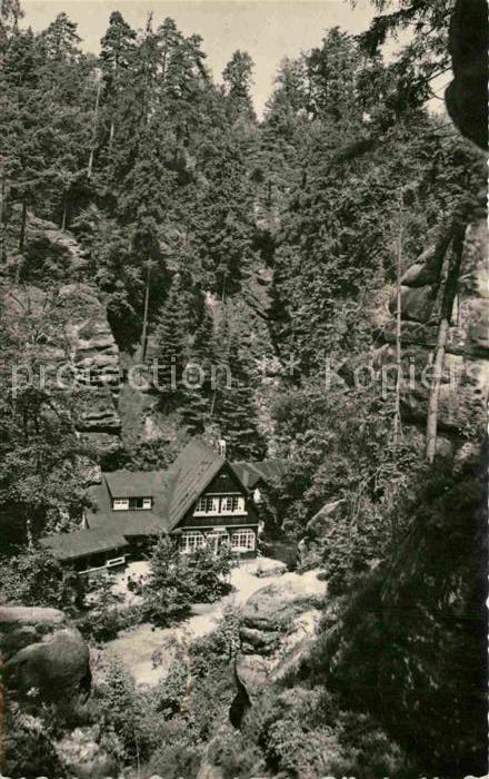 Uttewalder Grund Waldidylle