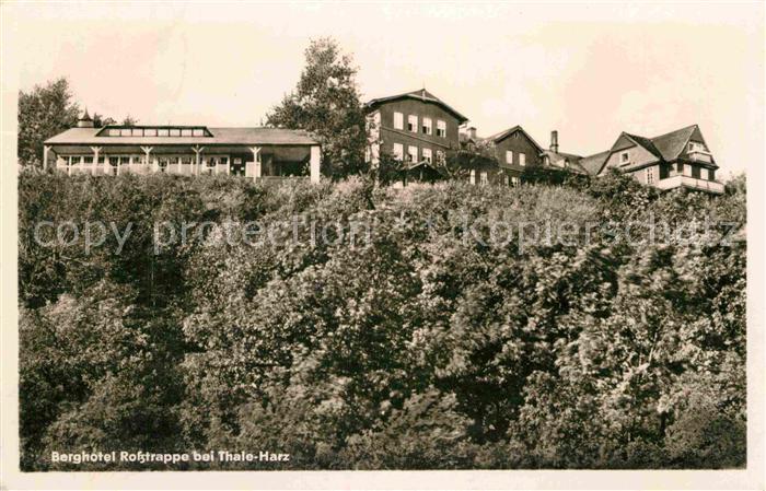 Thale Harz Berghotel Rosstrappe