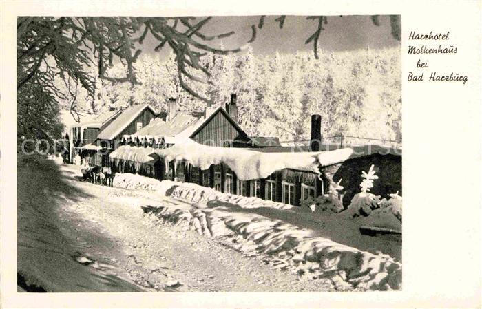 Bad Harzburg Harzhotel Molkenhaus