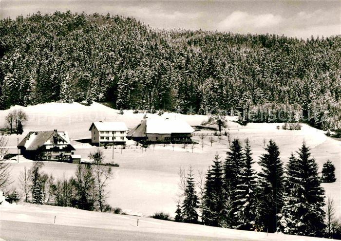 Ibach St Blasien Lindau Troetschlerhof