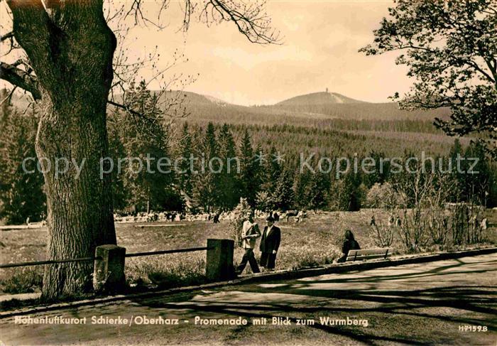 Schierke Harz Promenade mit Blick zum Wurmberg