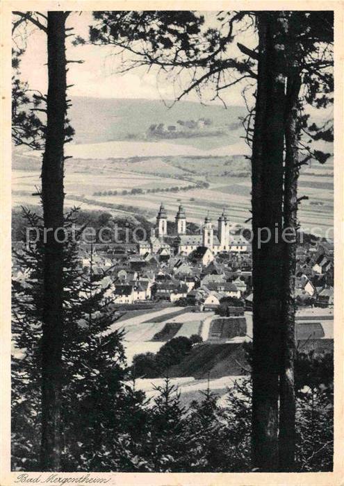 Bad Mergentheim Panorama Kirche