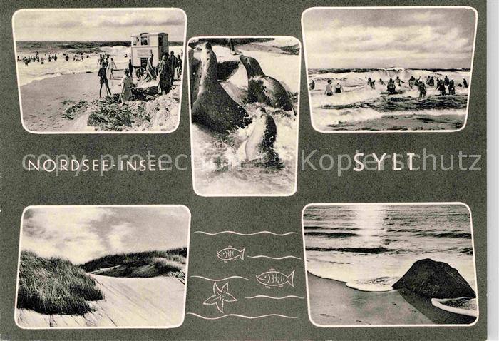 SYLT Insel Schleswig-Holstein Strand Duenen