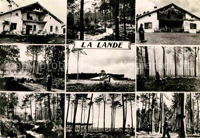 La Lande-de-Goult Panoramen Schafherde