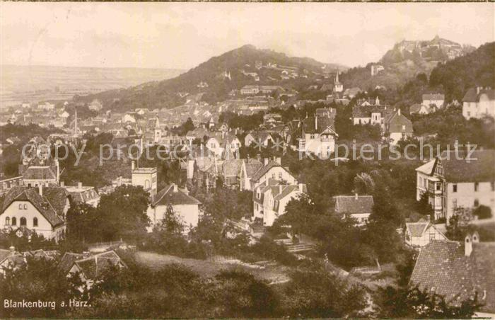 Blankenburg Harz Blick ueber die Stadt