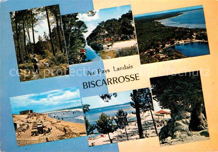 Biscarrosse Landes Waldpartie Camping Strand Küstenpanoram