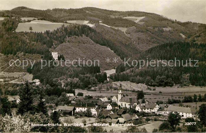 Wartberg Muerztal Panorama