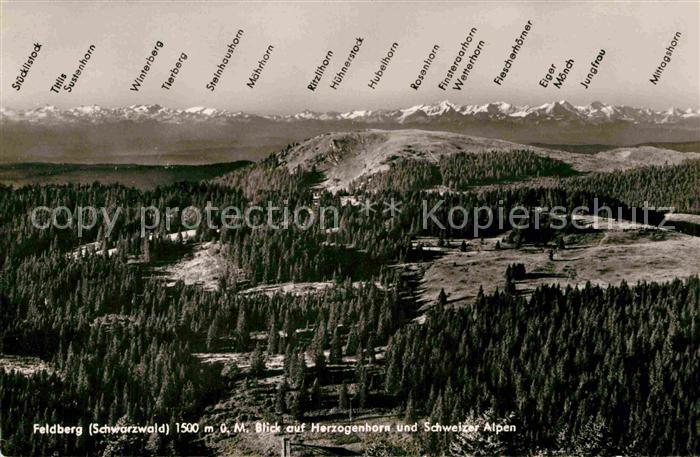 Feldberg Schwarzwald Blick auf Herzoghorn