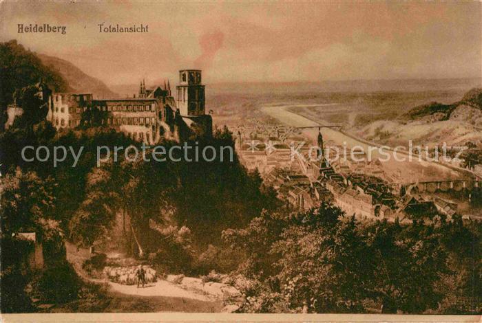 Heidelberg Neckar Schloss