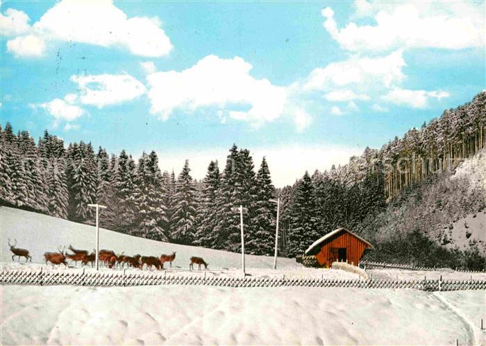 St Andreasberg Harz Gaststaette und Wildfuetterung Erikabruecke