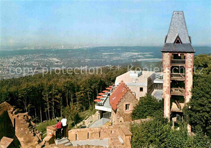 Frankenstein Bergstrasse Burgruine