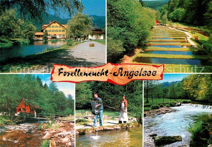 Neuenbuerg Enz Forellenzucht Angelsee