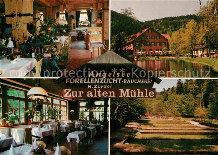 Neuenbuerg Enz Angelsee Forellenzug Restaurant Zur alten Muehle