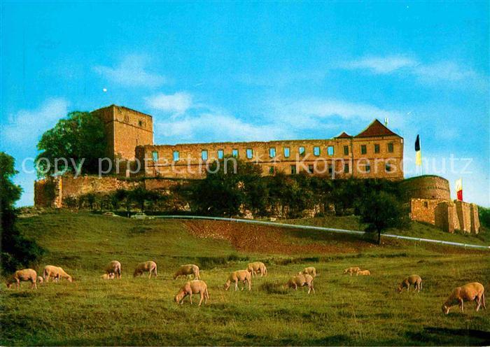 Schesslitz Giechburg und Schafe