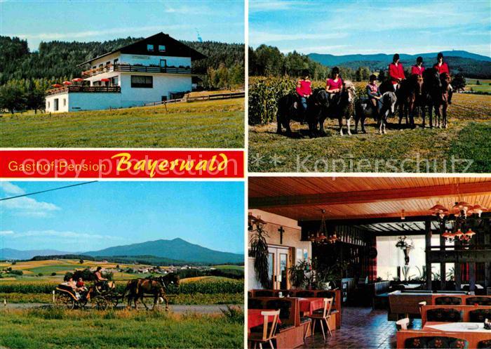 Ramsried Liebenstein Gasthaus Pension Bayerwald Reiter Pferdekutsche