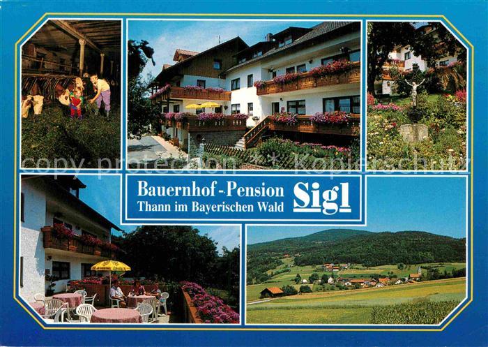 Schoellnach Bauernhof Pension Sigl