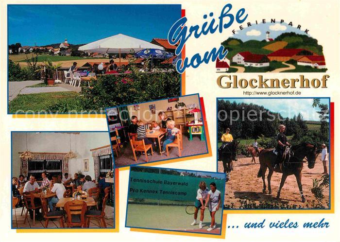 Stamsried Glocknerhof Reiten Tennis