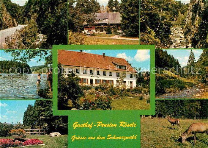 Bernau Schwarzwald Gasthof Pension Roessle Waldpartie Bach Damwild Hirsch
