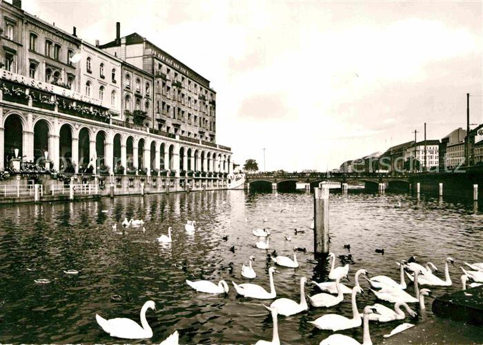 HAMBURG  CITY Alsterarkaden Schwaene