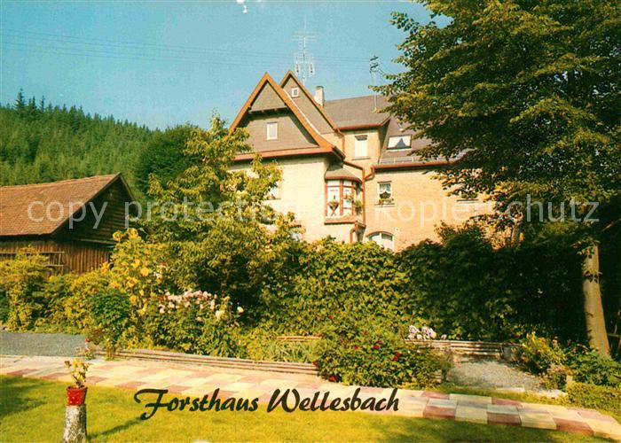 Wellesbach Oberfranken Gasthaus Forsthaus im Frankenwald