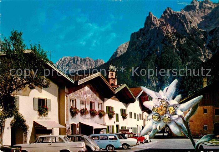 Mittenwald Bayern Im Griess Edelweiss Karwendelgebirge