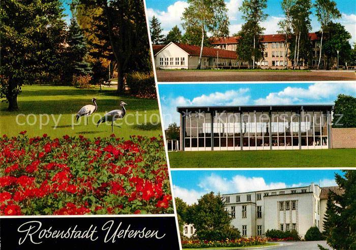 Uetersen Park Blumenbeet Kraniche Gebaeude Halle