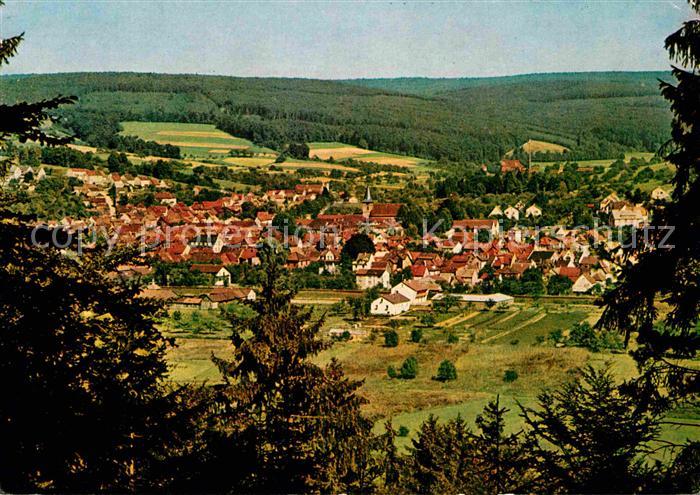 Bad Koenig Odenwald Panorama