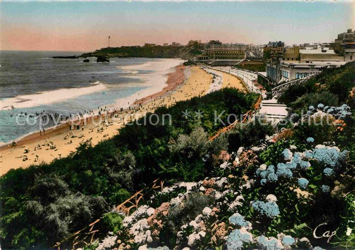 Biarritz Pyrenees Atlantiques Les Hortensias et la Grande Plage