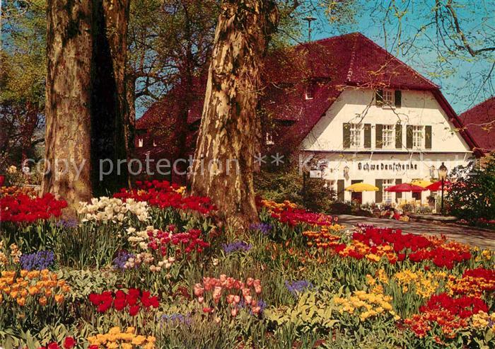 Insel Mainau Schwedenschenke im Fruehlingskleid Blumen