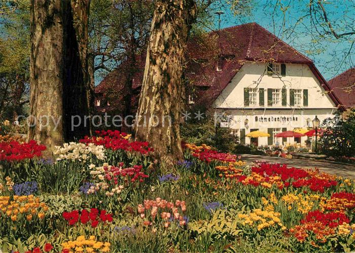 Insel Mainau Schwedenschenke im Fruehlingskleid Blumen