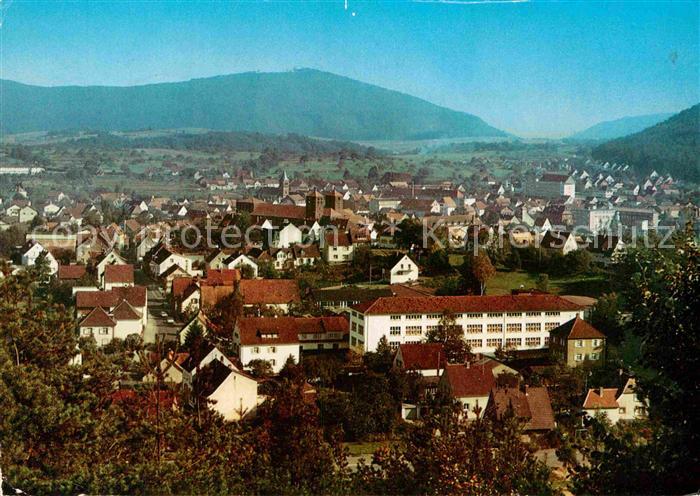 Hauenstein Pfalz Stadtpanorama