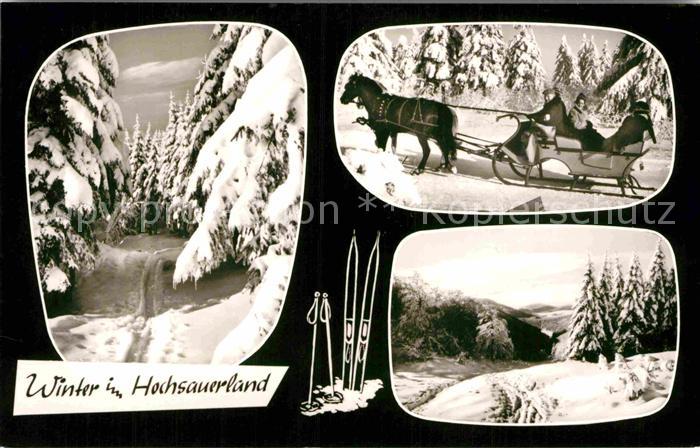 Pferdeschlitten Hochsauerland