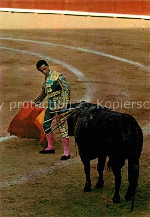 Stierkampf Toros El Viti Cita con la Derecha