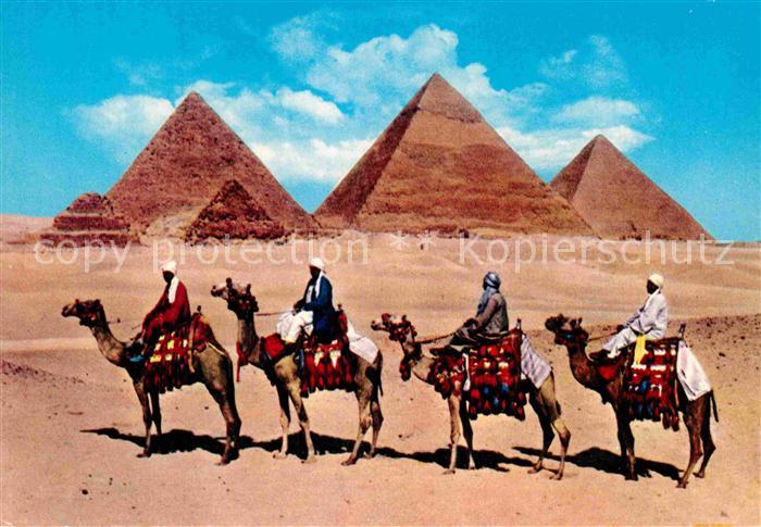 Kamel  Camel Chameau Camel Caravan Giza Pyramids
